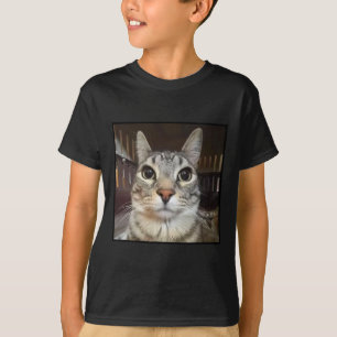 Albern Staring Cat Meme T-Shirt