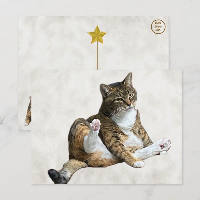 Alberne Cat-Pose - Annie's Postcard Postkarte (Vorne/Hinten)