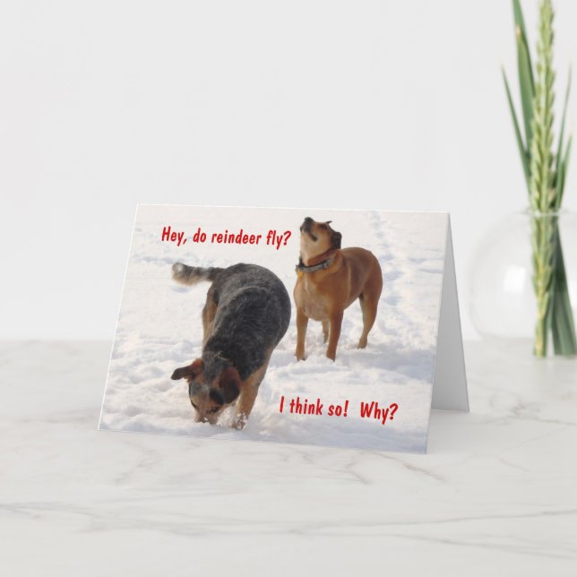 Alberne Funny Cattle Hunde Weihnachtsschnee Feiertagskarte (Vorderseite)