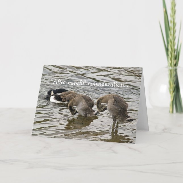 Alberne Gans-Liebe Feiertagskarte (Vorderseite)