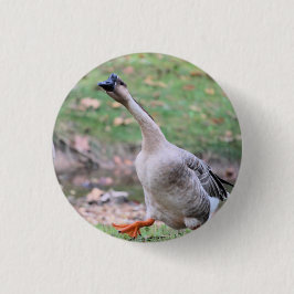 Alberne Gänsesilber Button