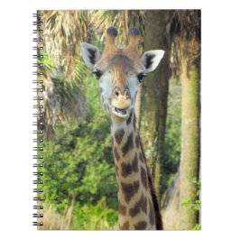 Alberne Giraffe - 6.5 x 8.75 Notebook Notizblock