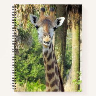 Alberne Giraffe - 8,5 x 11, 8,5 x 8,5 oder Herz Notizbuch