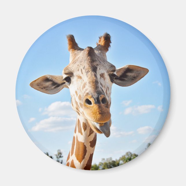 Alberne Giraffe Magnet (Vorne)