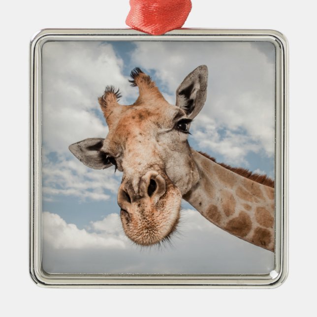 Alberne Giraffe Ornament Aus Metall (Vorne)