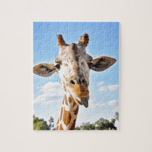 Alberne Giraffe Puzzle