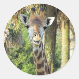 Alberne Giraffe-Stickers Runder Aufkleber
