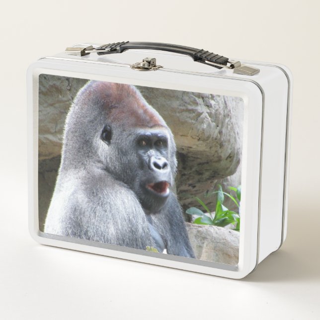 Alberne Gorilla Metal Lunchbox (Vorderseite)