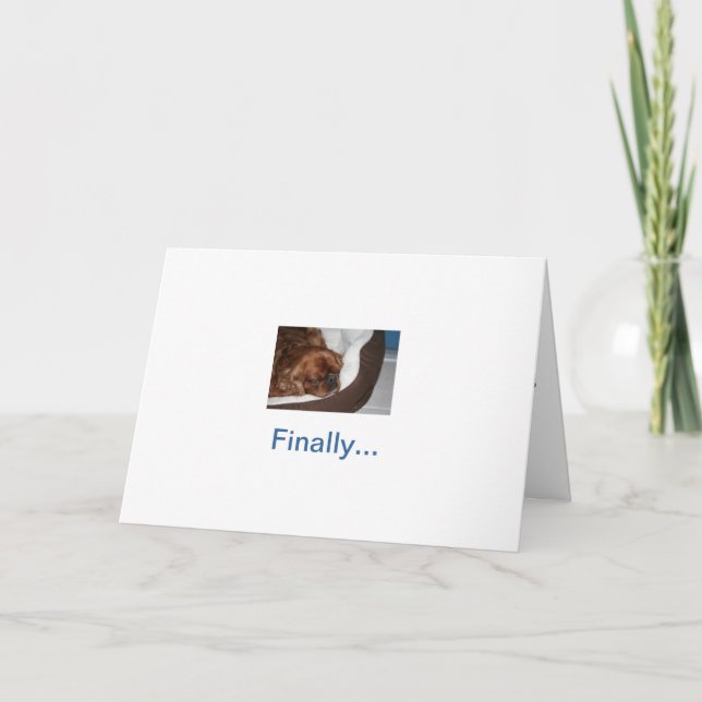 Alberne Hundeschulung Karte (Vorderseite)