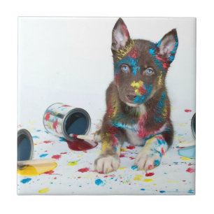 Alberne Husky-Welpe got in Paint-Ester Fliese