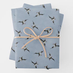 Alberne Landung Pelican Pic Wrapping Paper Sheets Geschenkpapier Set