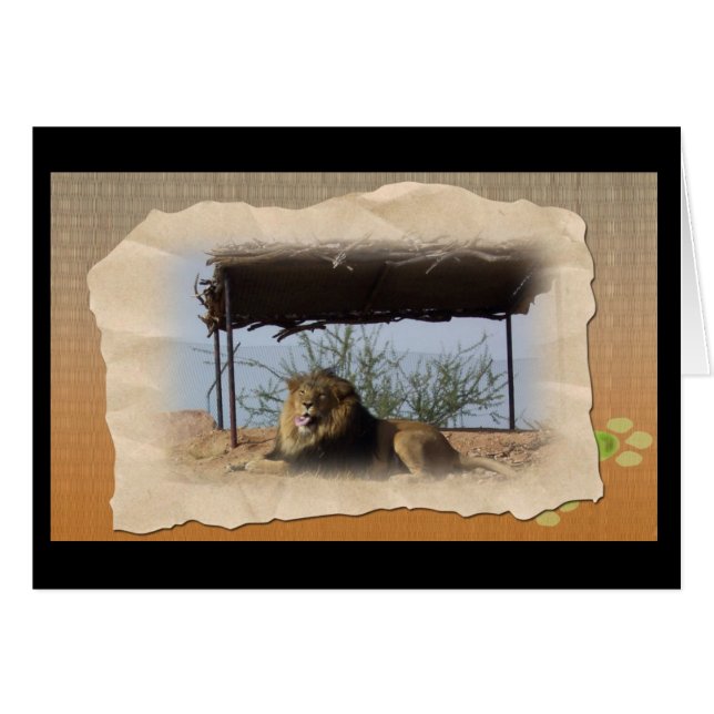 Alberne Lion (Vorderseite (Horizontal))