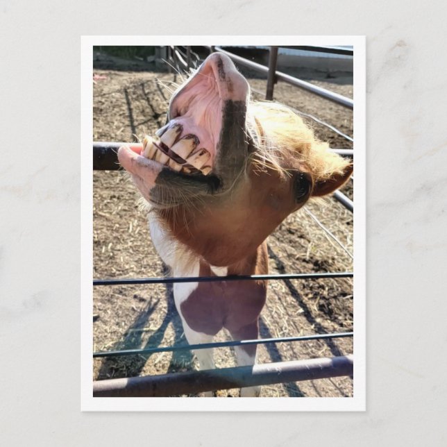 Alberne Postkarte (Vorderseite)