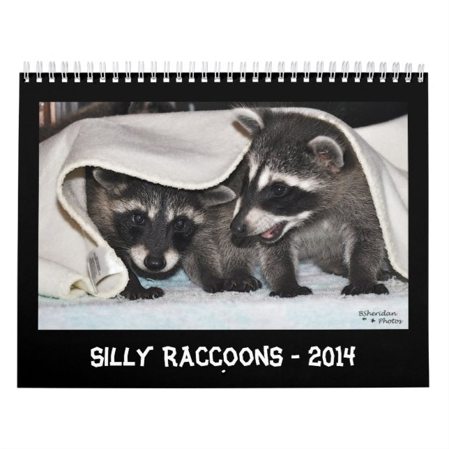 Alberne Raccoons - Kalender 2014 (Titelbild)