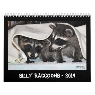 Alberne Raccoons - Kalender 2014