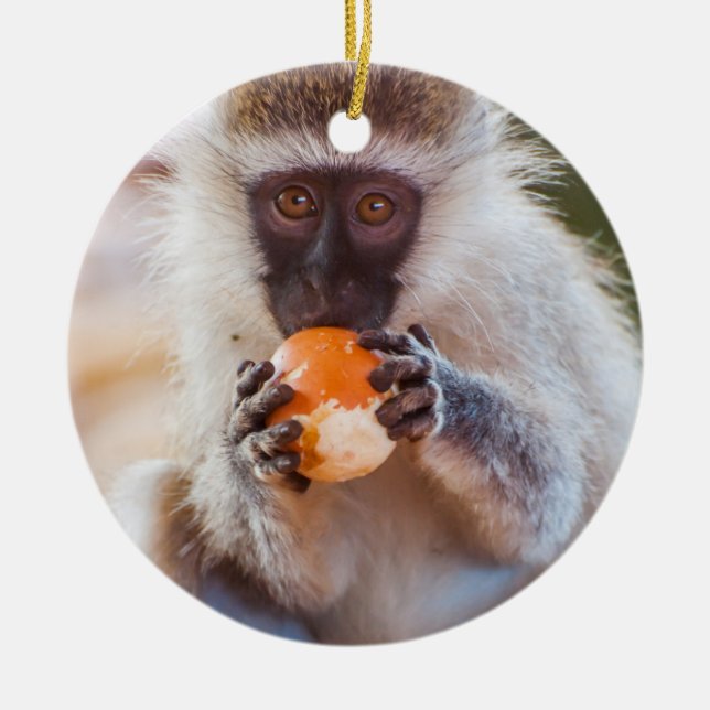 Alberner Affe mit Orange Keramik Ornament (Vorne)