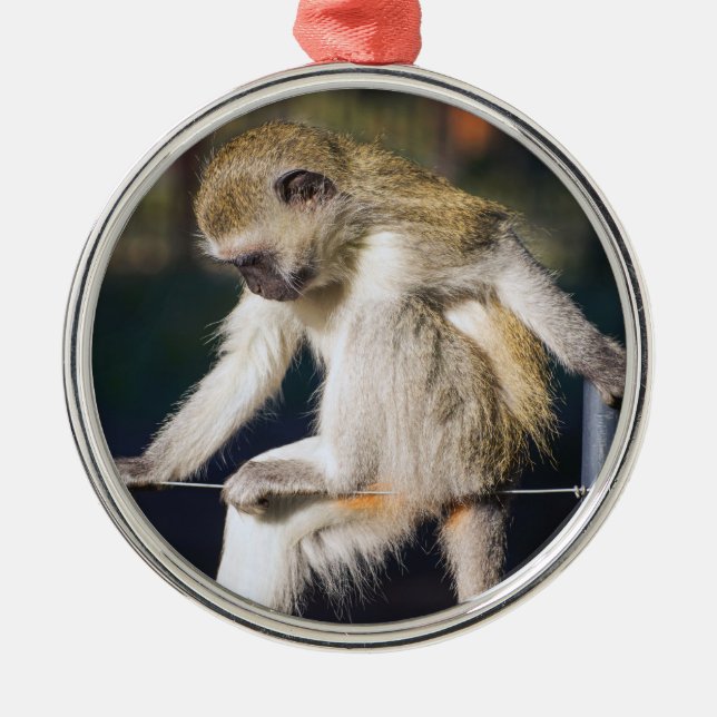 Alberner Affe Ornament Aus Metall (Vorne)