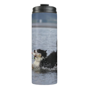Alberner Hund im Wasser, Trommel, personifizieren Thermosbecher