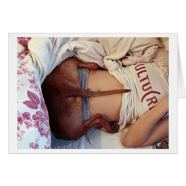 Alberner Pitbull! (Vorderseite (Horizontal))