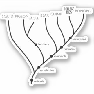 Albernes Cladogram 3" x 3" Vinyl Stickers Aufkleber