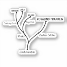 Albernes Cladogram, kundenspezifisch geschnitten V