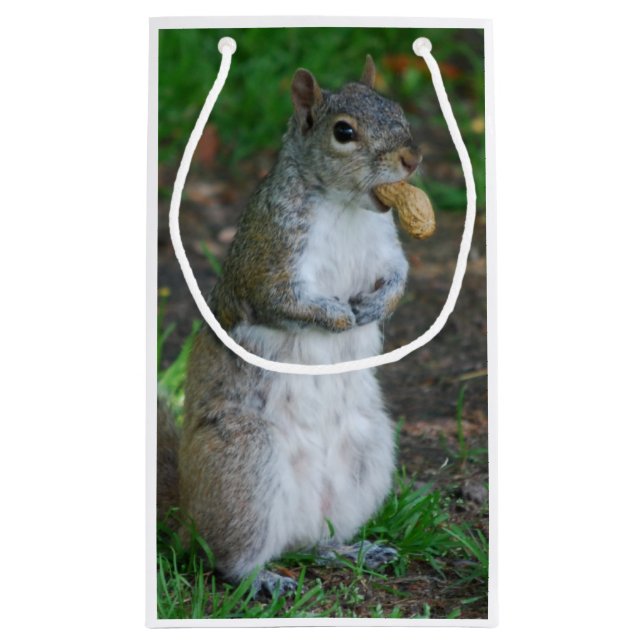Albernes Eichhörnchen Kleine Geschenktüte (Rückseite)