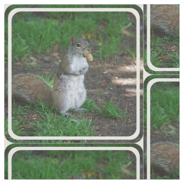 Albernes Eichhörnchen Stoff (Nahaufnahme)