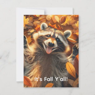 Albernes Fallraccoon Postkarte