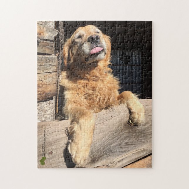 Albernes Golden Retriever Foto Puzzle (Vertikal)