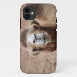 Albernes Kamel Case-Mate iPhone Hülle