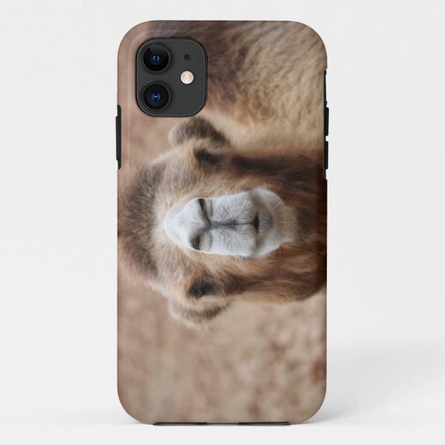 Albernes Kamel Case-Mate iPhone Hülle (Rückseite)