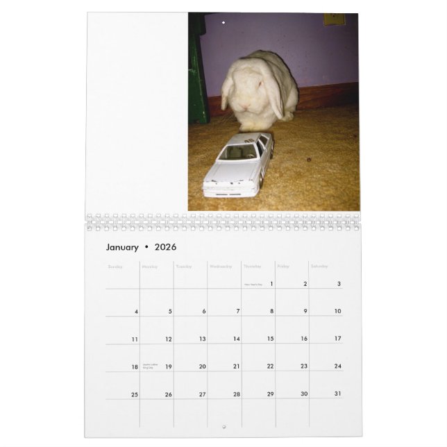 albernes Kaninchen Kalender (Jan 2026)