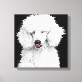 Albernes Weiße Poodle Leinwanddruck