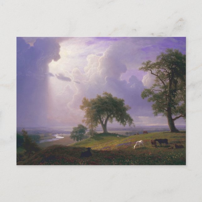 Albert Bierstadt California Spring Cattle Postkarte (Vorderseite)