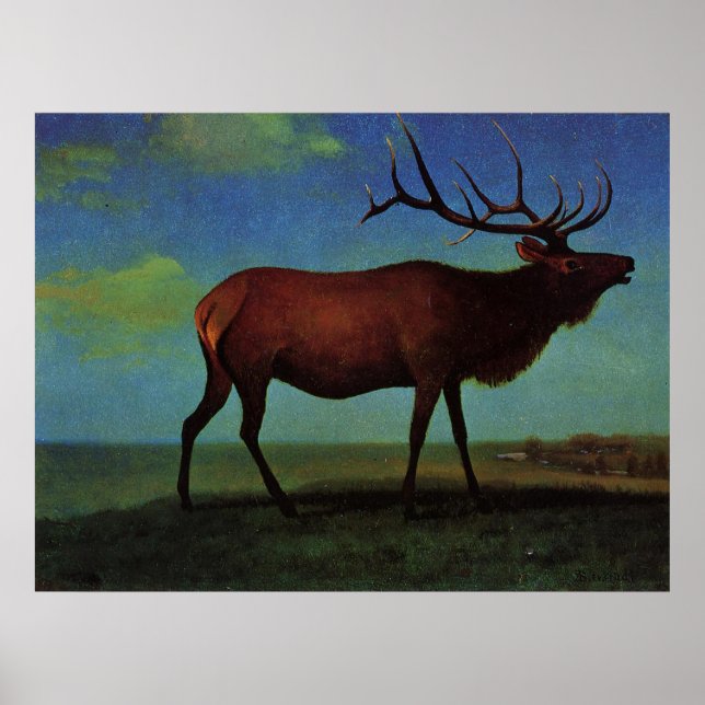 Albert Bierstadt, Elk Poster (Vorne)