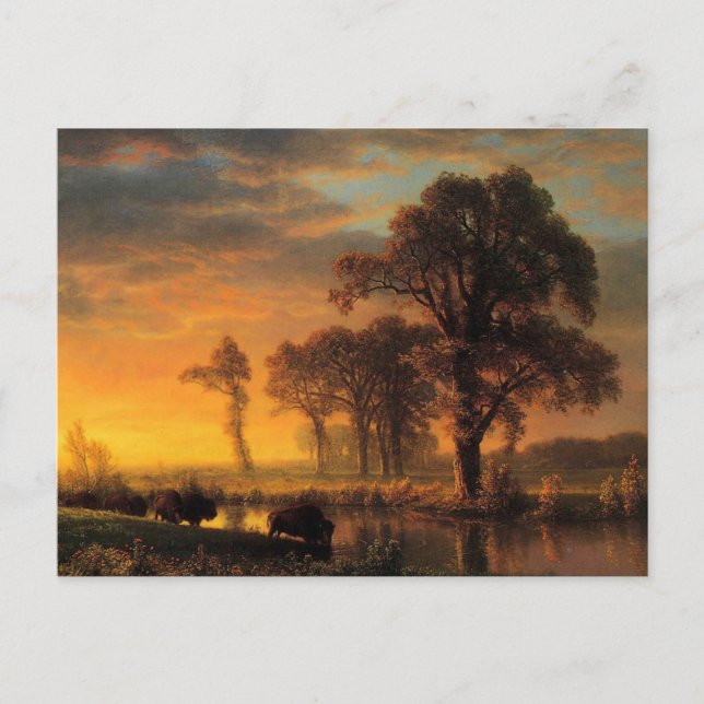 Albert Bierstadt painting, Western Kansas Postkarte (Vorderseite)