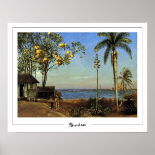 Albert Bierstadt Zedign Kunstposter #196 Poster