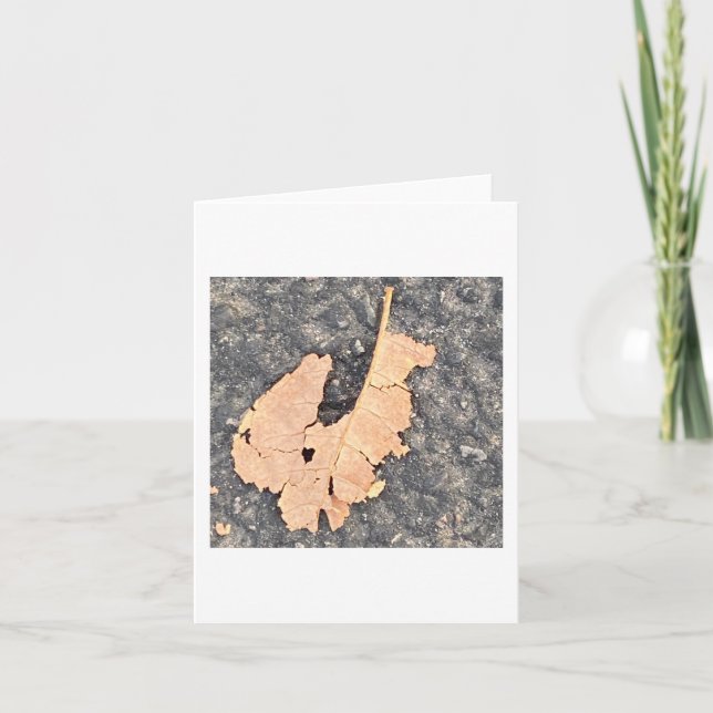 Albert The Leaf Squirrel 🐿️  Karte (Vorderseite)