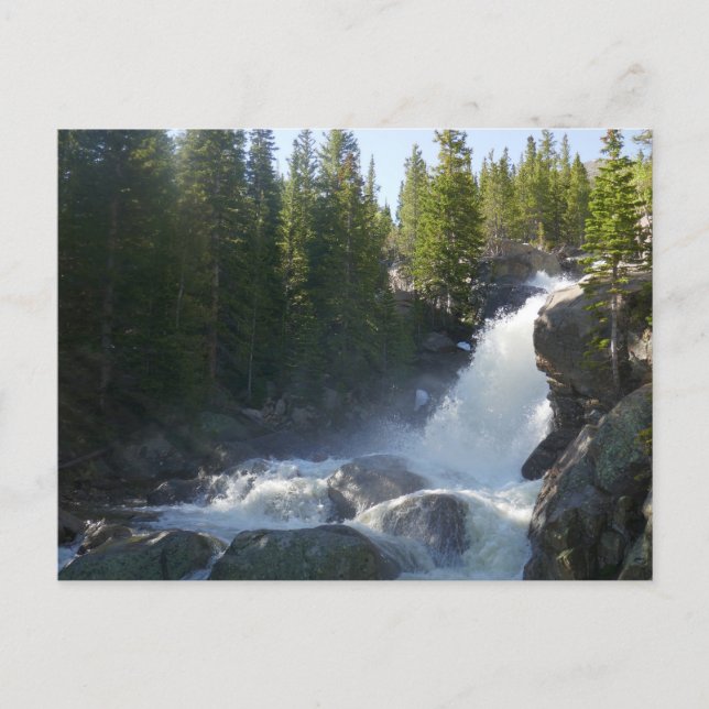 Alberta Falls II Postkarte (Vorderseite)