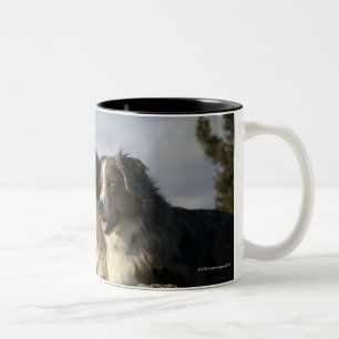 Alberta, Kanada 2 Zweifarbige Tasse