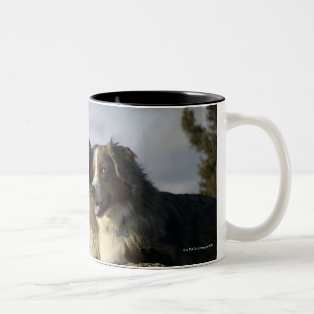 Alberta, Kanada 2 Zweifarbige Tasse (Rechts)