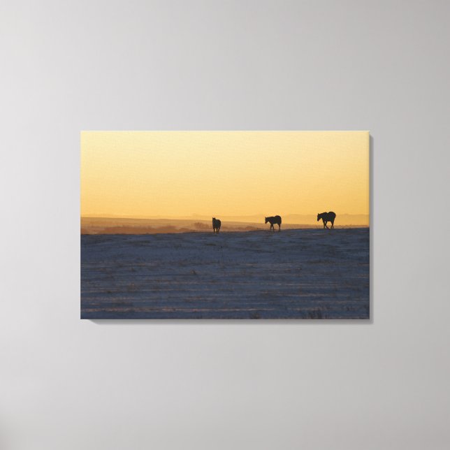 Alberta, Kanada 3 Leinwanddruck (Vorderseite)