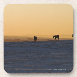 Alberta, Kanada 3 Untersetzer