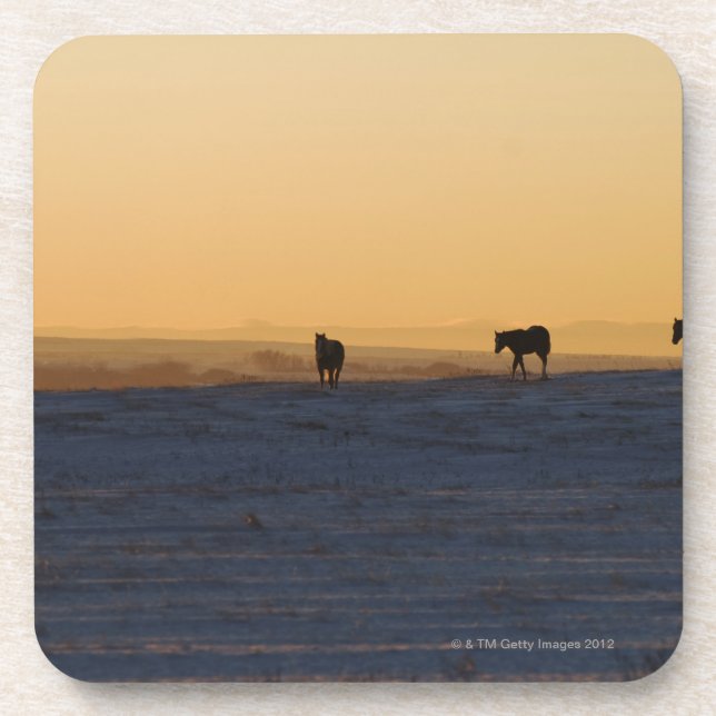 Alberta, Kanada 3 Untersetzer (Vorderseite)