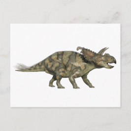 Albertaceratops Dinosaurier im Seitenprofil Postkarte