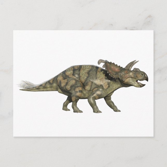 Albertaceratops Dinosaurier im Seitenprofil Postkarte (Vorderseite)