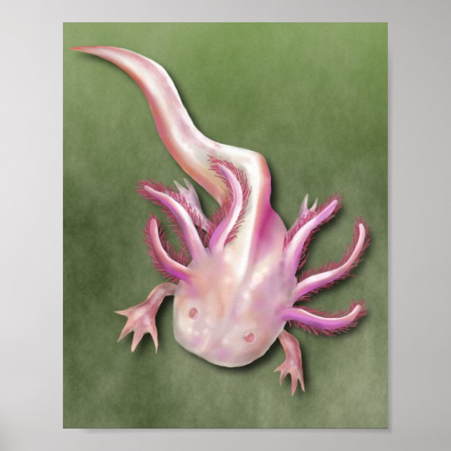 Albino Axolotl "Walking Fish" Kunst, Dichtung und  Poster (Vorne)
