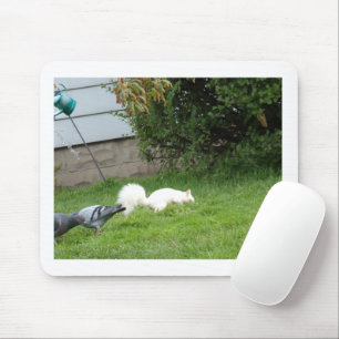 Albino Eichhörnchen und Tauben Mauspad