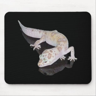 ALBINO-ENIGMA-LEOPARDGECKO MOUSEPAD