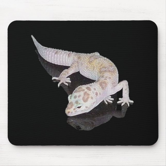 ALBINO-ENIGMA-LEOPARDGECKO MOUSEPAD (Vorne)